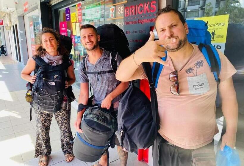 فنادق الكبسولة Bricks Backpackers Sleepbox