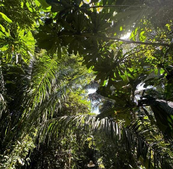 בית מלון כפרי Mecca