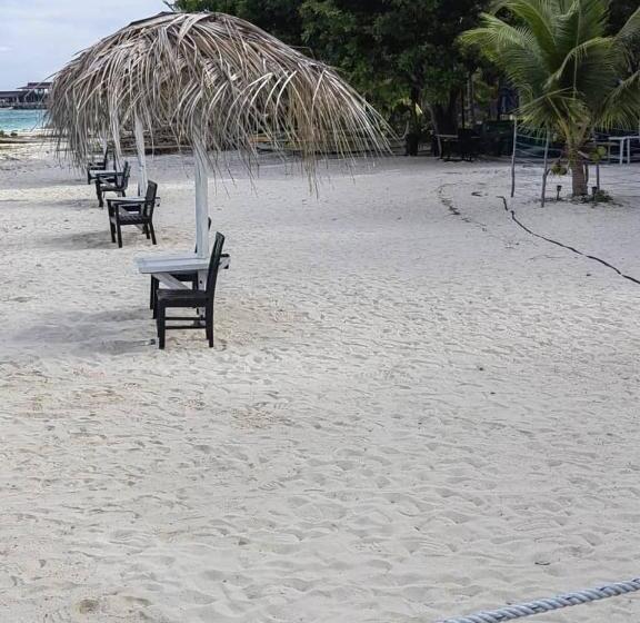 Hotel Pom Pom Celebes Beach Resort邦邦岛西里伯斯度假村