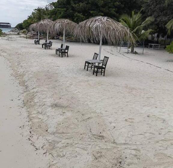 Hotel Pom Pom Celebes Beach Resort邦邦岛西里伯斯度假村