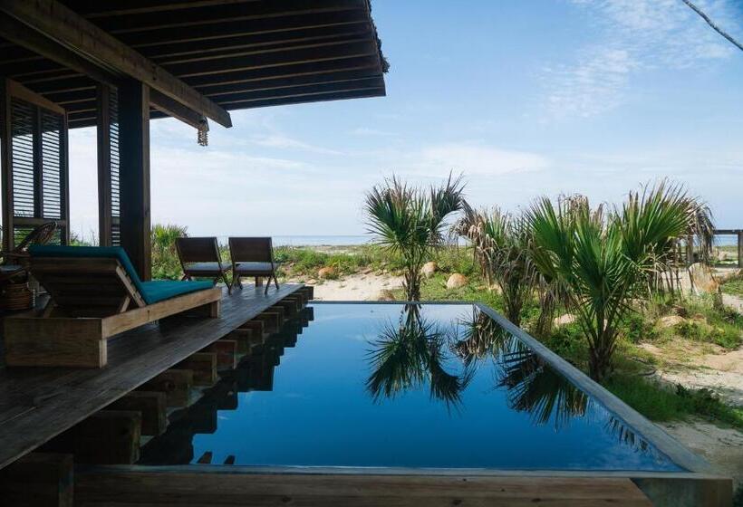 فندق Punta Pajaros