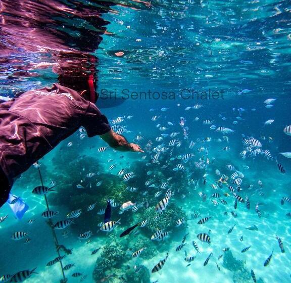 فندق Sri Sentosa Chalet