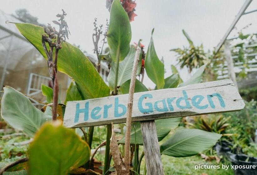 בית מלון כפרי Tirtha Quddus Farmstay