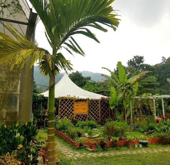 בית מלון כפרי Tirtha Quddus Farmstay