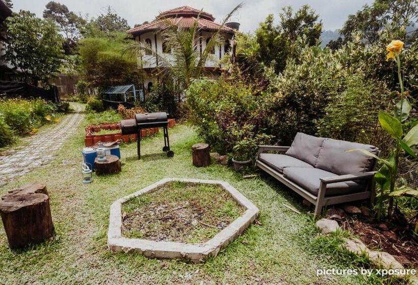 בית מלון כפרי Tirtha Quddus Farmstay