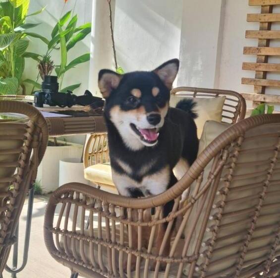 פנסיון 148 Guesthouse And Resort