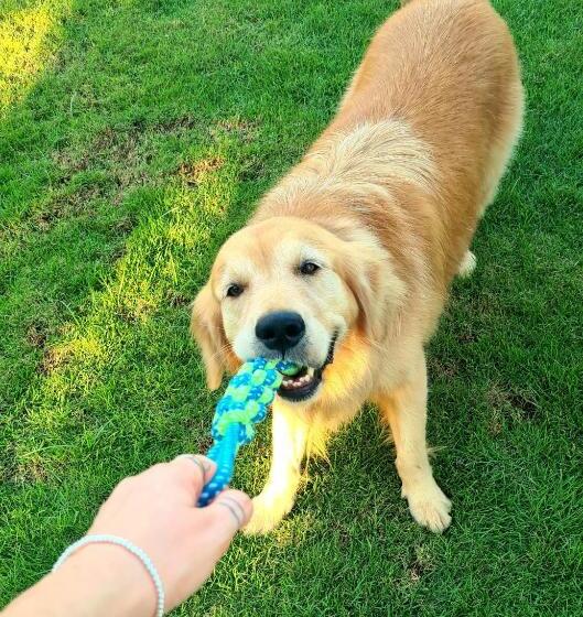 פנסיון 148 Guesthouse And Resort