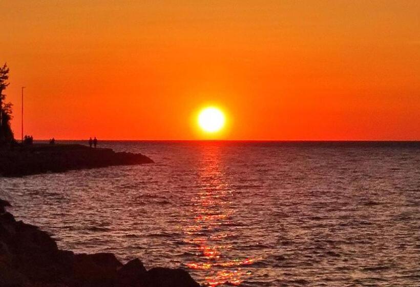 پانسیون Altana Rooms