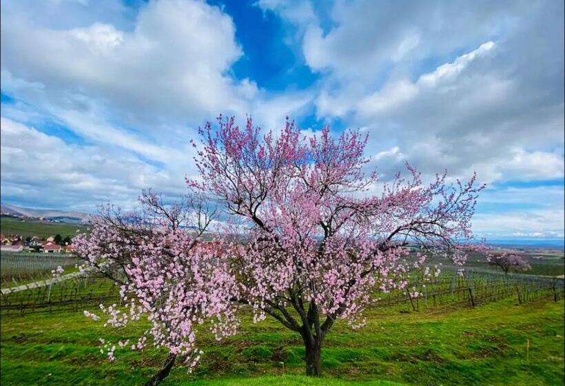 膳宿费 Gîte Chez Esté