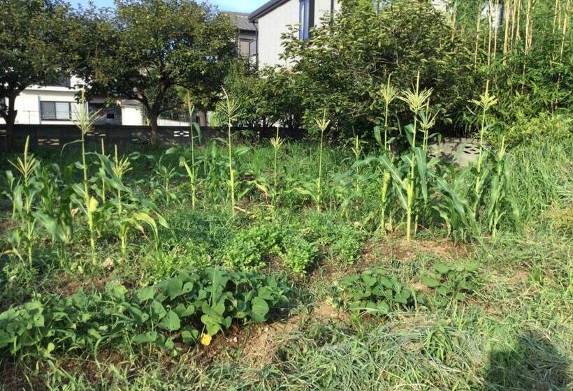 Пансион Ichigo Sou Vacation Stay 15267