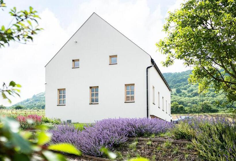 פנסיון Penzion Nad Pavlovem