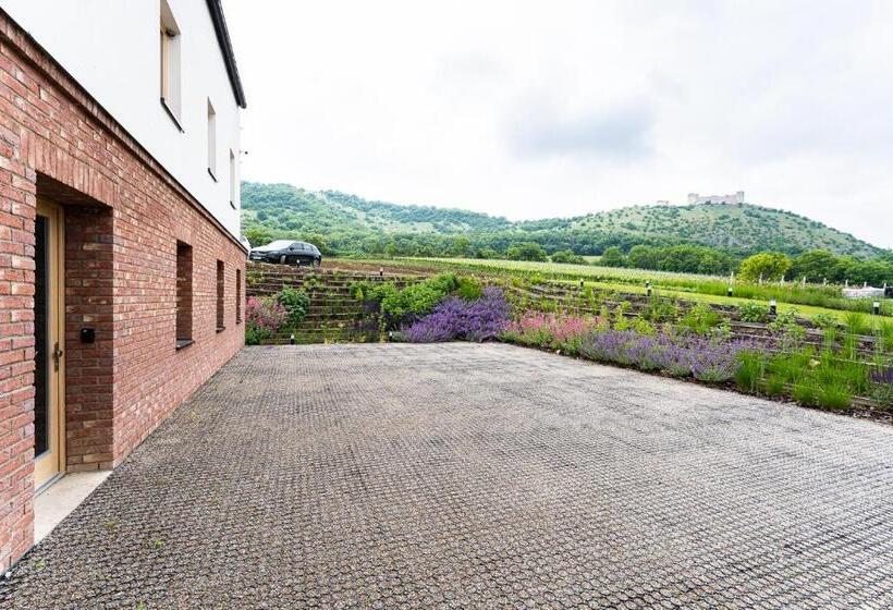 פנסיון Penzion Nad Pavlovem