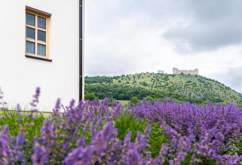 פנסיון Penzion Nad Pavlovem