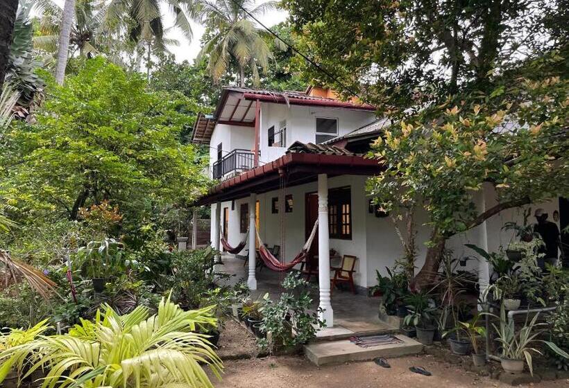 膳宿费 Surfside Madiha