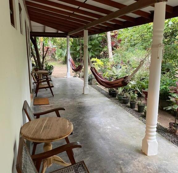 膳宿费 Surfside Madiha