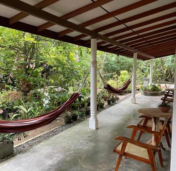 膳宿费 Surfside Madiha