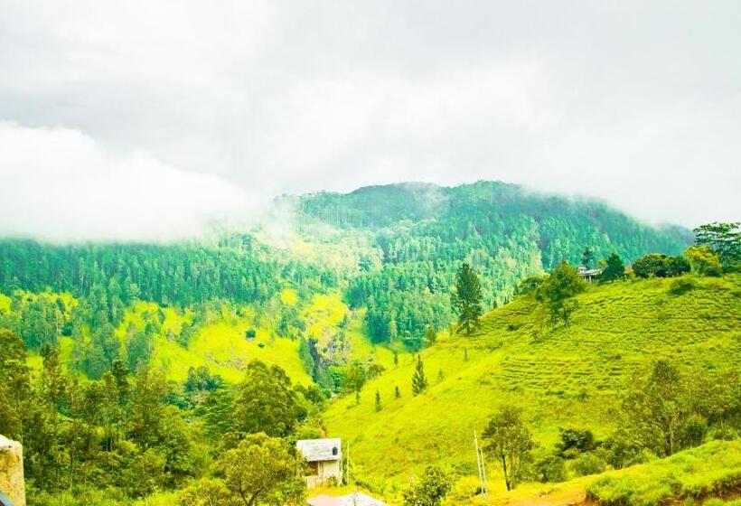 Pension Wonder Mount Resort