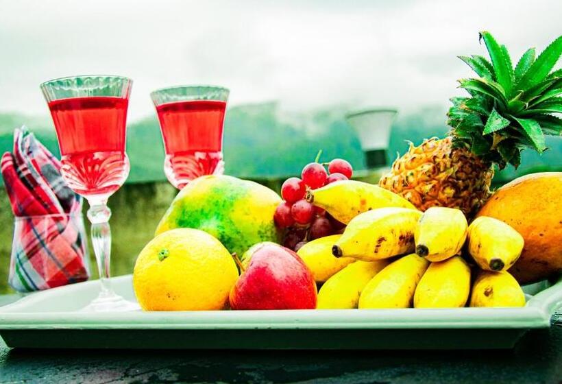 Pension Wonder Mount Resort