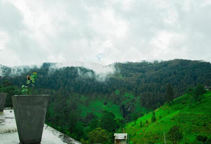 Pension Wonder Mount Resort