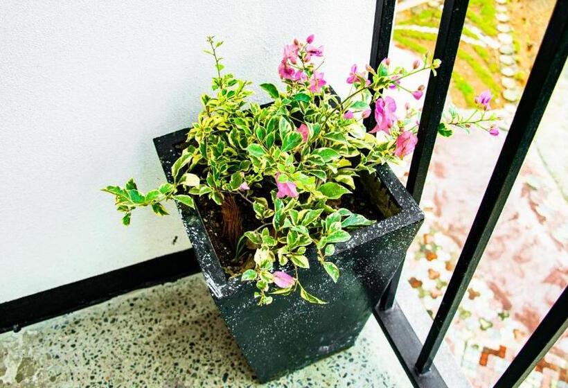 Pension Wonder Mount Resort