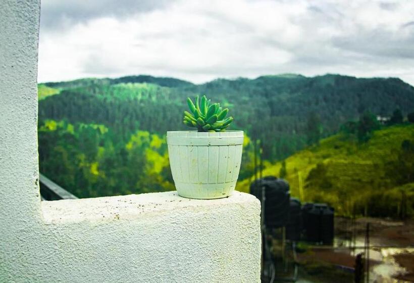 Pension Wonder Mount Resort