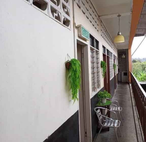 Rz Gold Hotel Official Account