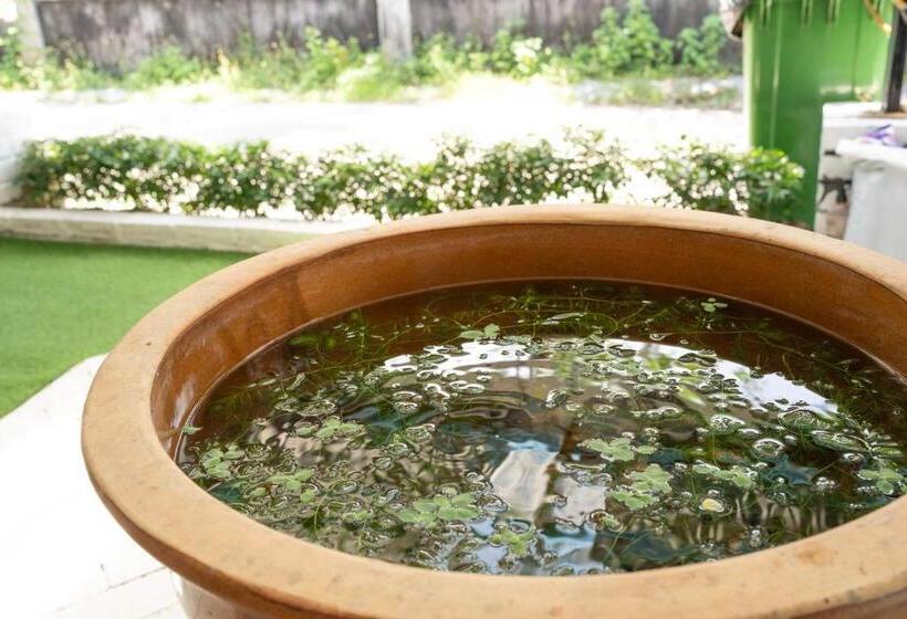 הוסטל Mimpimoon Langkawi