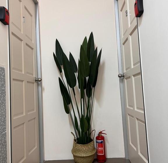 Общежитие Room2#ig Theme Bargainous#shared Bathroom#4pax#2min Kek Lok Si