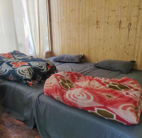 هاستل Yodo Kasol, You Only Die Once