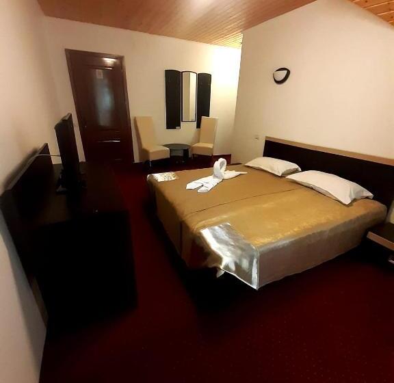 Bed and Breakfast Complex Turistic Roua Muntilor Vila 1