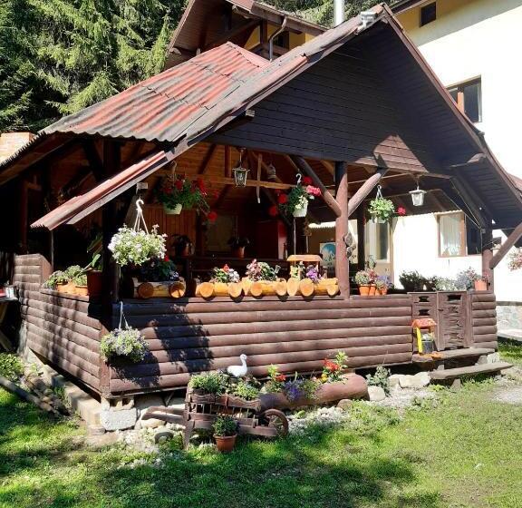 Bed and Breakfast Complex Turistic Roua Muntilor Vila 1