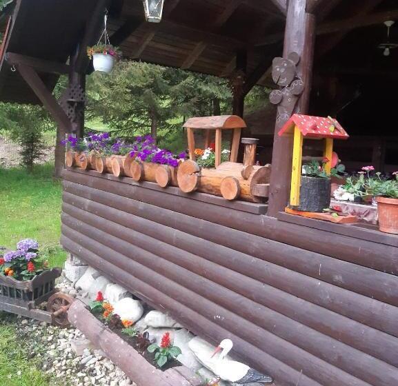 Bed and Breakfast Complex Turistic Roua Muntilor Vila 1