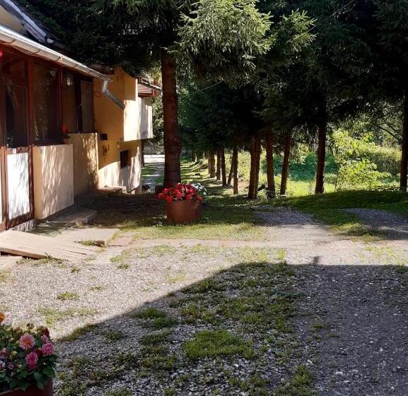 Bed and Breakfast Complex Turistic Roua Muntilor Vila 1