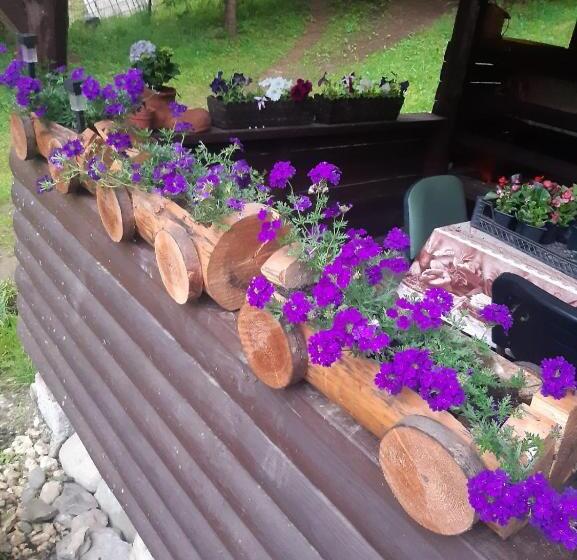 Bed and Breakfast Complex Turistic Roua Muntilor Vila 1