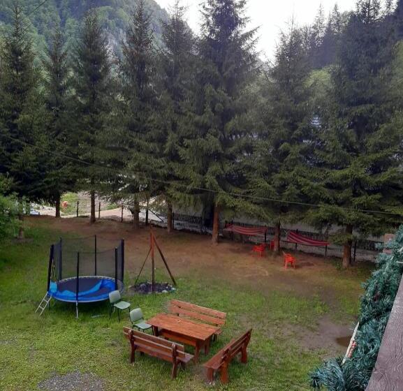 Bed and Breakfast Complex Turistic Roua Muntilor Vila 1