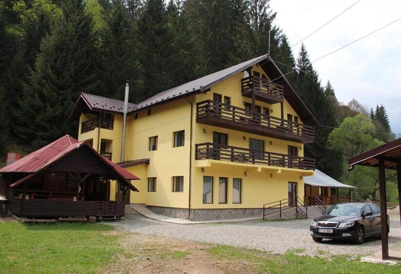 Bed and Breakfast Complex Turistic Roua Muntilor Vila 1