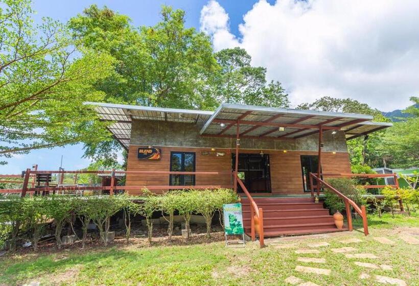 ベッドアンドブレックファースト Crazy Mojito Restaurant & Bungalow