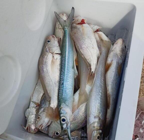 Gelama Resort Pasir Panjang