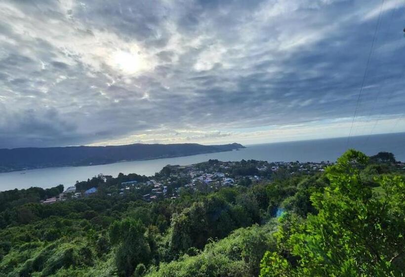 Hostal Torre Del Español