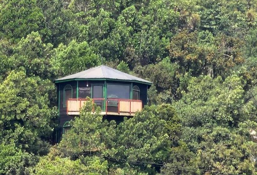 Hostal Torre Del Español