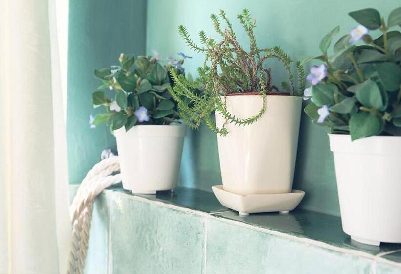 فندق Agriturismo Colle Delle Stelle