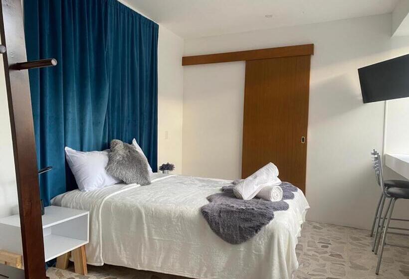 Отель Casa Centro By Lofts 48