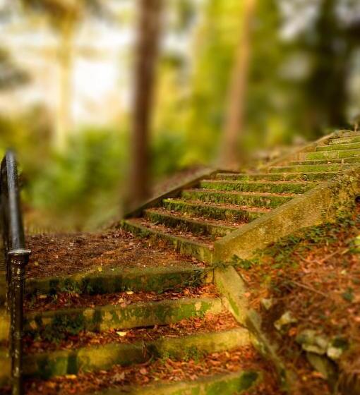 호텔 Cliff College