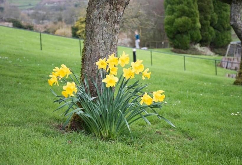 호텔 Cliff College