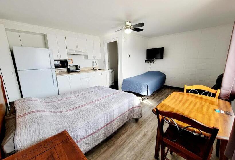 Отель Hébergement Du Plateau