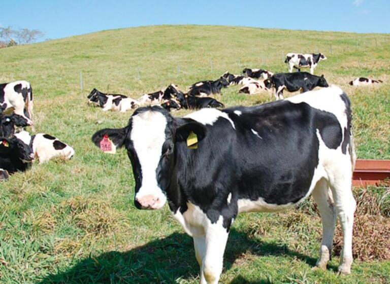 בית מלון כפרי Kyukamura Chausuyama Kogen