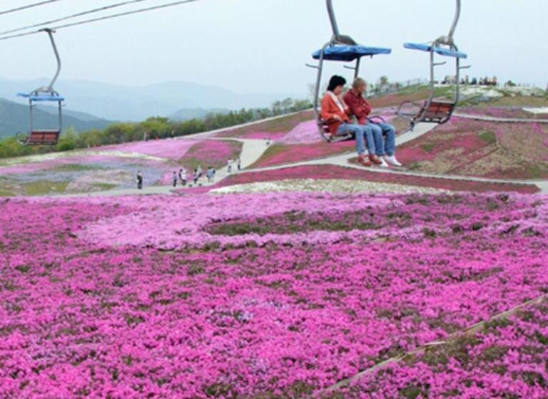 בית מלון כפרי Kyukamura Chausuyama Kogen