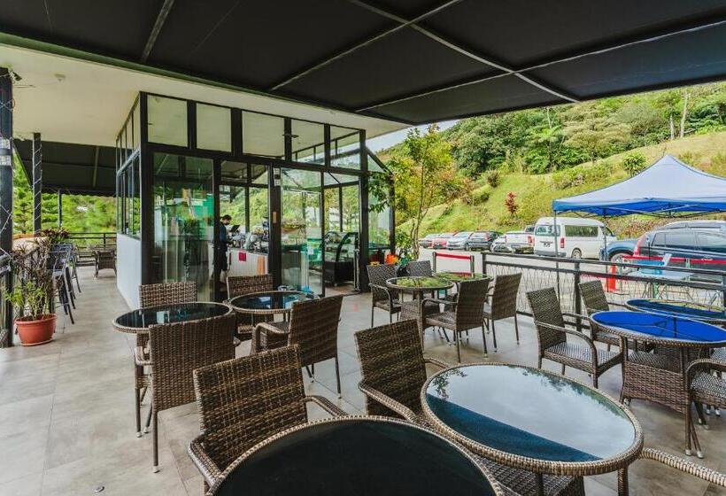 酒店 Mountain Valley Resort