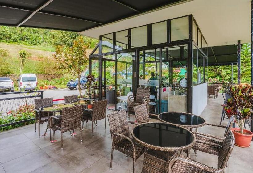 酒店 Mountain Valley Resort