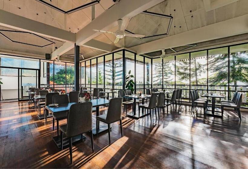 酒店 Mountain Valley Resort